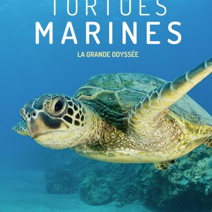 Programme Tortues marines