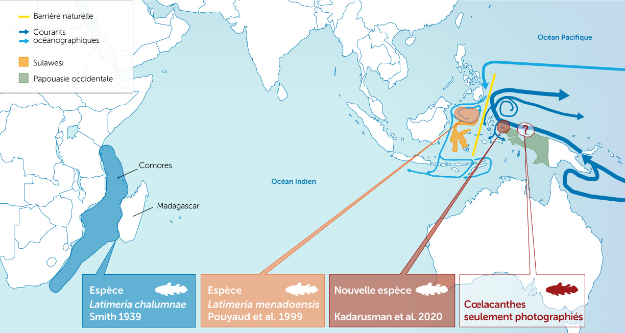 Carte de répartition des coelacanthes