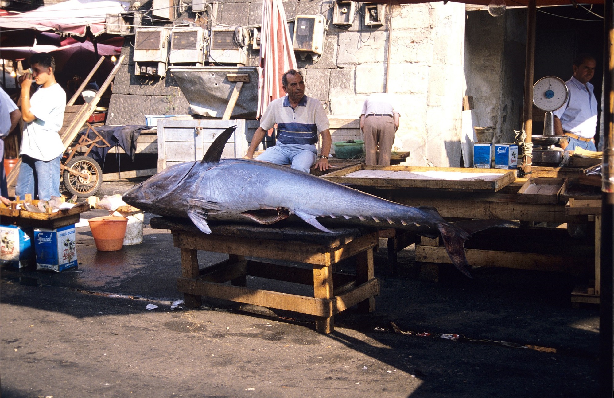 5. How is tuna caught? - Institut océanographique