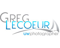 logo greg lecoeur