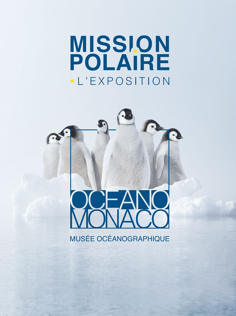 Découvrez l'exposition MISSION POLAIRE au Musée océanographique de Monaco