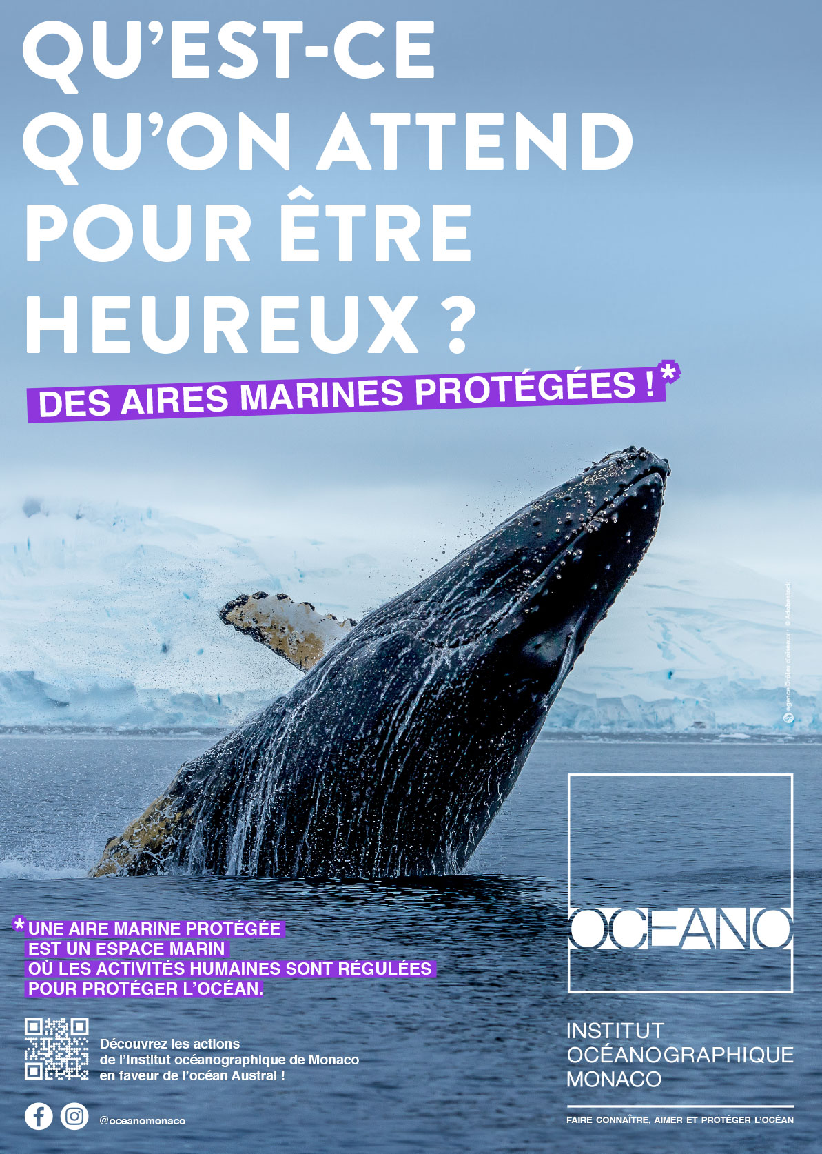 Campagne Engagement Aires Marines Protégées Institut Océanographique Monaco - baleine à bosse