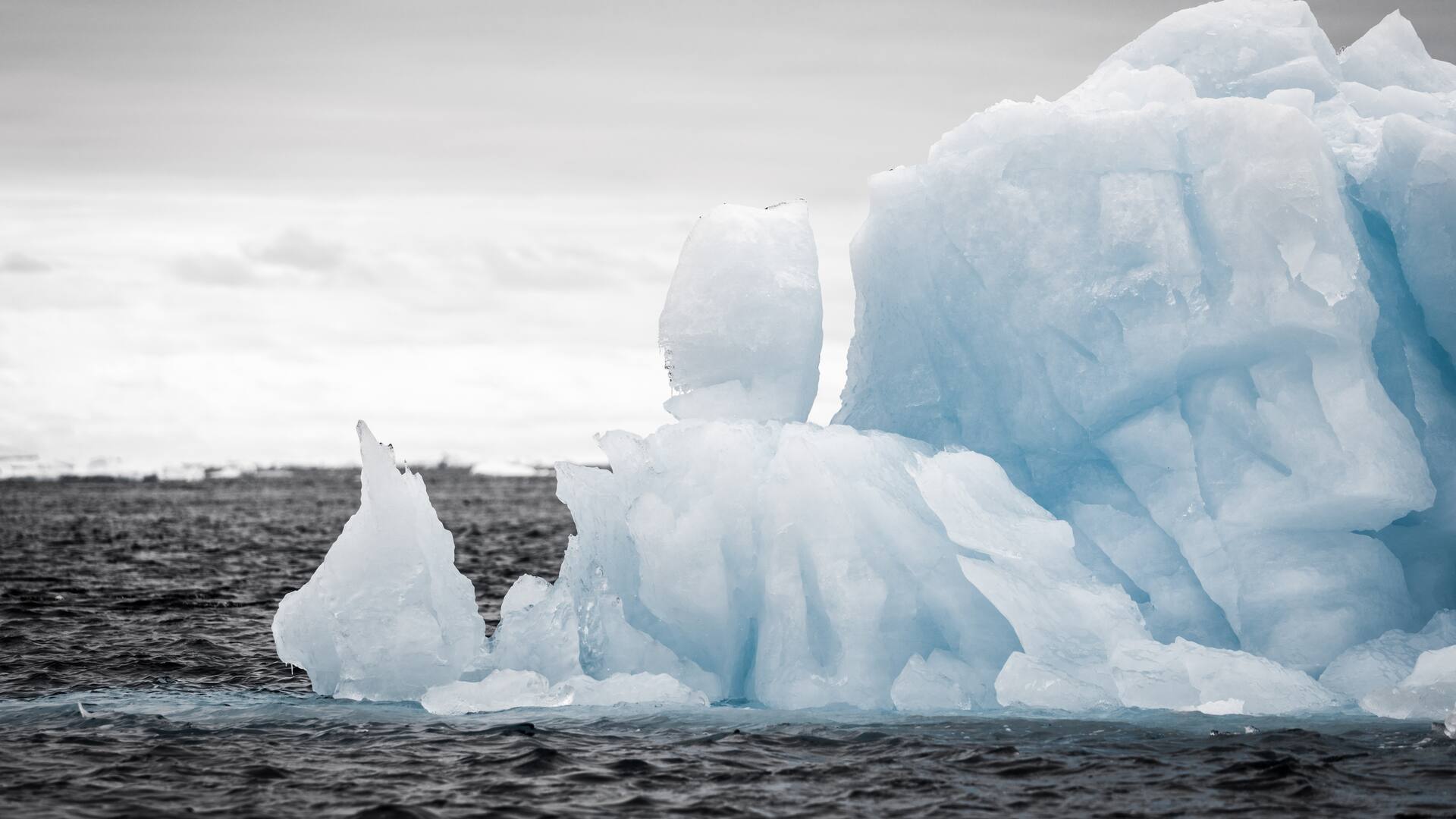 Institut Océanographique de Monaco - expédition Antarctica 2024