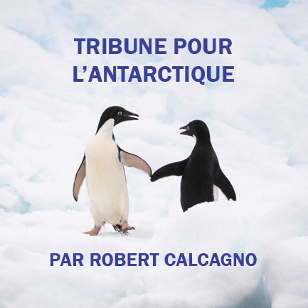 Tribune Robert Calcagno 2024-2025